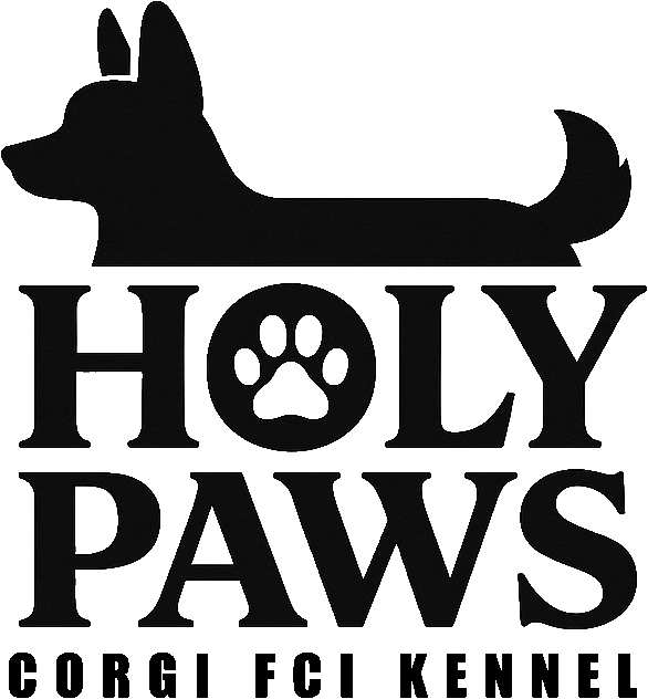 Holy Paws - Welsh Corgi FCI Kennel - Израильский питомник вельш корги - בית גידול וולש קורגי